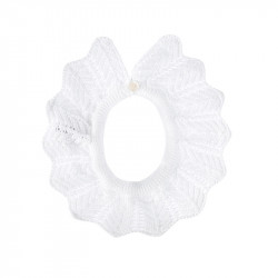 Cuello blanco Cóndor