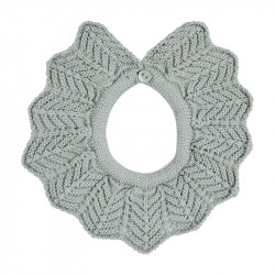 Cuello verde seco cóndor